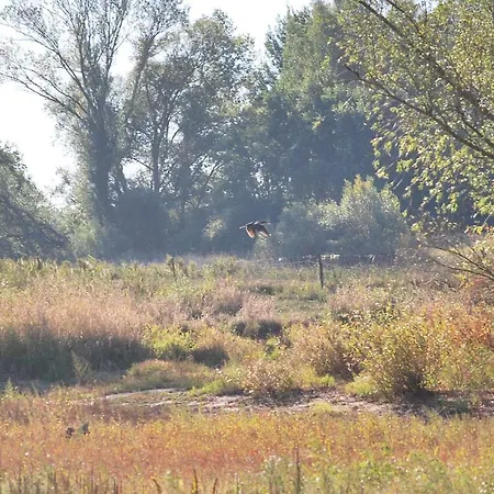 Апартаменты Alte Schmiede Блеккеде